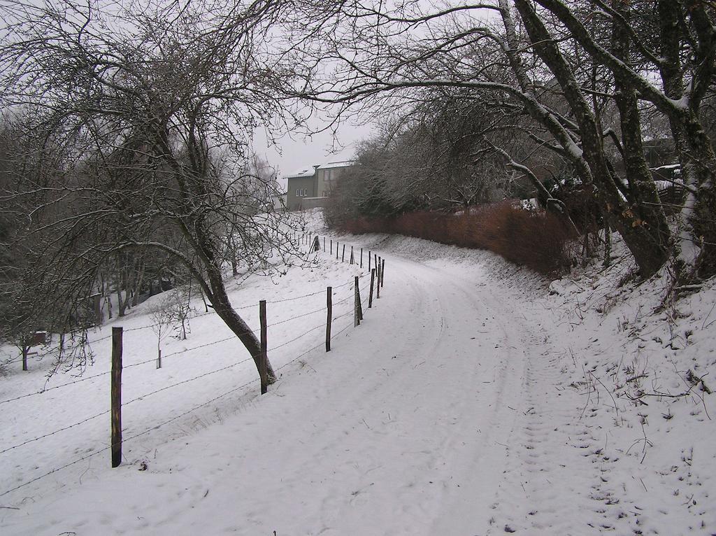 Ferienwohnung Nisius Geisfeld  Zewnętrze zdjęcie
